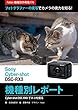 Foton機種別作例集176 フォトグラファーの実写でカメラの実力を知る　Sony Cyber-shot DSC-RX0 機種別レポート: Cyber-shot DSC-RX0でネコを撮る