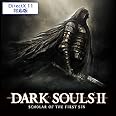 DARK SOULS II: SCHOLAR OF THE FIRST SIN (DirectX 11対応版) [オンラインコード]