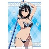 ストライク・ザ・ブラッド FINAL 姫柊雪菜 描き下ろしB2タペストリー