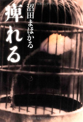 沼田まほかる:痺れる