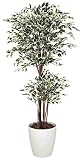 tree-c/観葉植物 造花 光触媒 トロピカル・ベンジャミン 斑入り 160cm