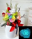 ギフト ほんのり香る 100% プリザーブドフラワー[アロマピュアroyal] (暗闇で光る＆レインボーローズ)