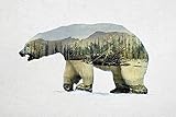 Arctic Polar Bear Davies赤ちゃん動物自然野生動物ポスター(選択サイズ、印刷またはキャンバス) 26x18 Print IC-D939D26X18P