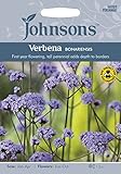JOFL 英国ジョンソンシード Verbena bonariensis  バーベナ・ボナリエンシス＊2014新品種