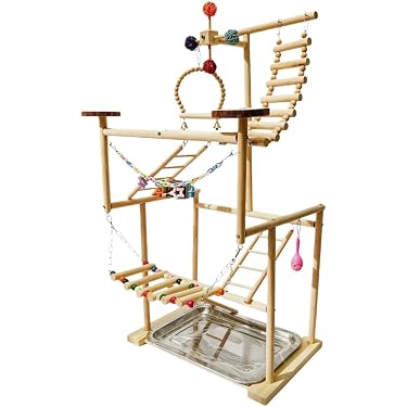 Amazon.co.jp 最新リリース: 鳥かごアクセサリ の新着ランキングです。