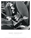 Lily of the Valley by Dana Buckleyブラック&ホワイトフォトプリントポスター12 x 12