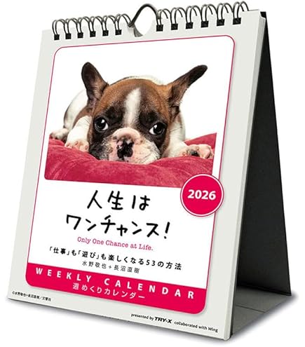 Amazon.co.jp: トライエックス 人生はワンチャンス！ 卓上/壁掛