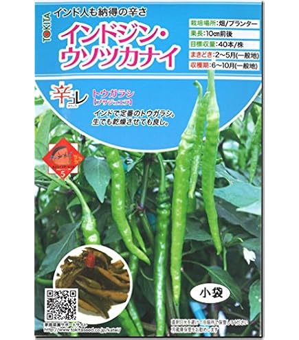 Amazon.co.jp: 辛 とうがらし 種子 牛角大王 20粒 トウガラシ （中国大