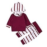 ベビー服　赤ちゃん服　2点セット　長袖　Ｔシャツ　ズボン　ロングパンツ　秋服　普段着　女の子　男の子　フード付き　ストライプ　コットン (100)