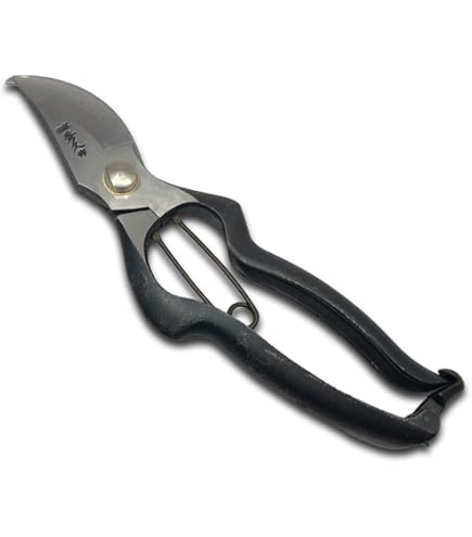 Amazon | 石上秀久作 B型剪定鋏 金止 225mm TH-9 | 園芸用はさみ