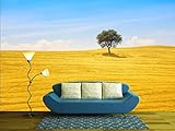 wall26 - 粘着壁紙 大型壁画シリーズ 100"x144" WMR-WP-X-D437-100x24x6