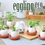 eggling　エコフレンドリー 栽培 栽培キット ガーデニング ミント バセリ バジル eggling　エコフレンドリー　06【ラベンダー】　48個 【48点】