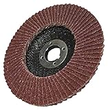 ヤナセ スパークディスク100X15 A120 10枚入 SPA710