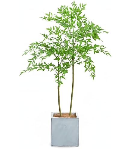 Amazon｜[LJKI] フェイクグリーン ユーカリ 180cm 大型 観葉植物
