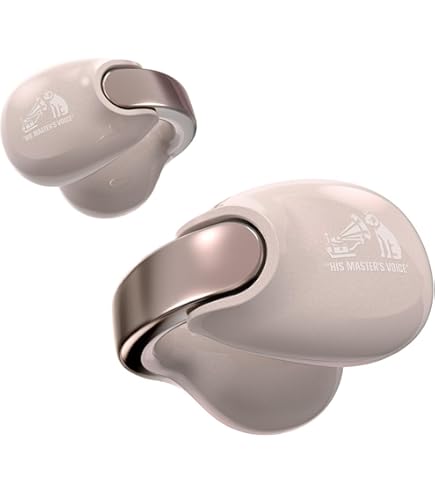 Amazon.co.jp: JVCケンウッド Victor HA-NP50T-CA ワイヤレスイヤホン