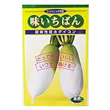 大根 種 【 味いちばん 】 種子 小袋