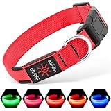 Illumifun 犬 光る首輪 充電式 犬 散歩 ライト 防水 調節可能 夜間安全性 ペット用品 LED 発光 首輪 視認距離500mで夜間も安心 軽量小型犬 中型犬 大型犬 (レッド, M)