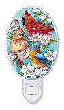 Amia Songbird and Cardinalガラスナイトライト、マルチカラー