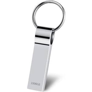 Aisopos USBメモリ 1TB USB 3.0 USB メモリースティック シルバーキーホルダーUSB フラッシュメモリ 金属製 キャップレス シルバー防水 防塵 耐衝撃フラッシュドライブ (1000GB)