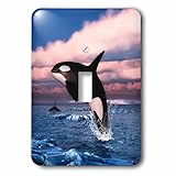 Simone GatterweデザインSea Life – Orca Killer Whales Swimming In The Arctic Ocean – 照明スイッチカバー – シングルトグルス