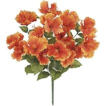 ハイビスカスページ hibs1.jpg?fitin=272:272