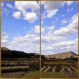 ココナッツ木のPHOTOシリーズが登場しました。Summer Vocation 1 ふすま紙か壁紙か水田写真 A タィブ