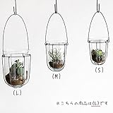 WIRE ハンギング バスケットW/G(L) 423039