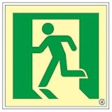 高輝度蓄光避難口誘導標識 非常口 SUC-P010【代引不可】 生活用品 インテリア 雑貨 文具 オフィス用品 その他の文具 オフィス用品 [並行輸入品]