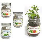 Garden Jar ガーデン・ジャー　３種類のミントセット