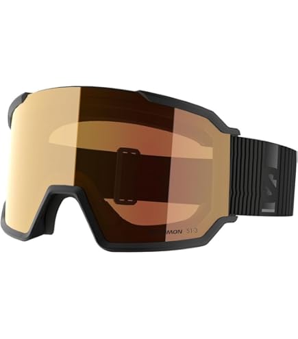 Amazon | [サロモン] スキー スノーボード ゴーグル S/VIEW SIGMA
