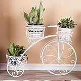 自転車スタイルの鉄フレームフラワーディスプレイスタンドあなたの花、植物のためのデザイン屋内屋外リビングルーム3色オプション (色 : 白)