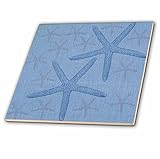 3dRose ct_99256_2 Two Big STARFISH- Beach Themed Art-Ceramic Tile, 6" [並行輸入品]