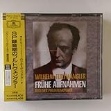 SP�^�����̃t���g�x���O���[