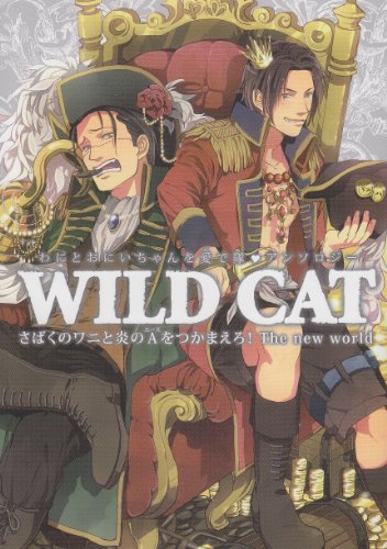 『WILD CAT－The new world』