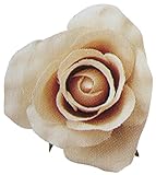 ヴァリエローズ M カフェオレ 61-10002-25