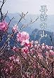 再訪の山