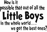 Design with Vinyl Design 159 - Black How Is It Possible that Out Of All the Little Boys In the Whole