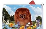 ポメラニアンレッド – Best of Breed Dog Breedメールボックスカバー