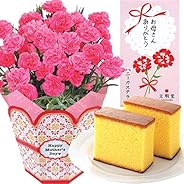 花のギフト社 母の日 カーネーション 文明堂 カステラ 花とスイーツ 鉢花 花 鉢花ギフト 5号鉢