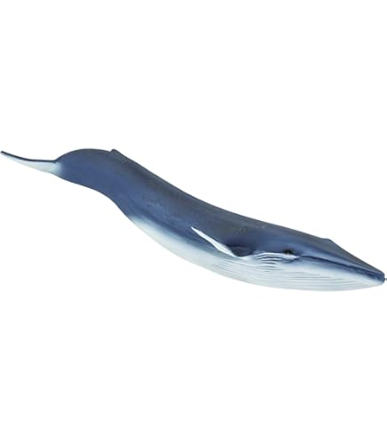 Amazon | 275529 サファリ マッコウクジラ | フィギュア・ドール