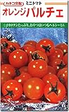 ミニトマト 種子 オレンジパルチェ 19粒 とまと