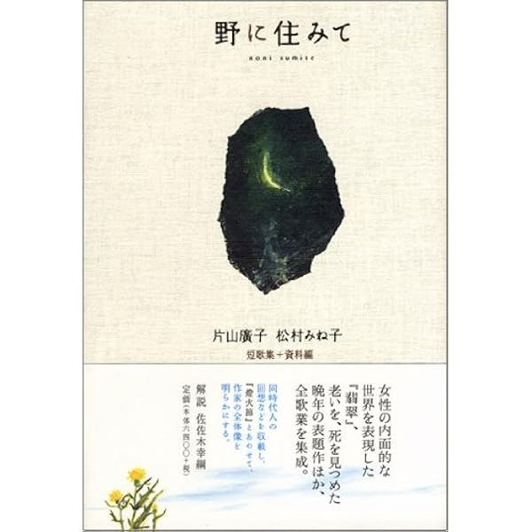 Amazon.co.jp: 火の後に: 片山廣子翻訳集成 : 片山廣子: 本
