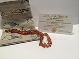 13 Inch Baltic Amber Teething Necklace for Toddler and Big Kid and some adults (Unisex) - Honey Brow