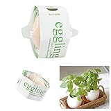 Arbeflo 鉢植え エッグリング 栽培キット 卵にそっくり イチゴ ミント 甘いバジル (甘いバジル)