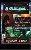 A Glimpse..: One Man's "encounter" with a Mermaid.. (English Edition)