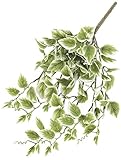 asca 造花 ホヤブッシュバイン クリームグリーン 全長40cm・葉径3~4.5cm A-42506-053A