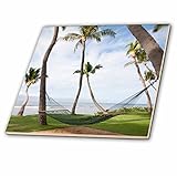 Danita Delimont – ハワイ – Hammock Underハワイアンヤシの木、マウイ、ハワイ – us10 jgs0038 – Jim Goldstein – タイル 12-Inch-