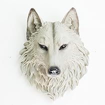 51wcqCGD5lL._AC_UL210_SR210,