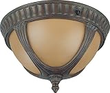 Nuvo Lighting 60/3907 Beaumont Outdoor Flush Mount with Photocell, Sienna Glass, Fruitwood Bronze [並