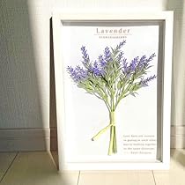 51we7r3tDjL._AC_UL210_SR210,